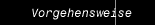 Vorgehensweise